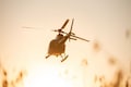 HAL adding new capacity for helicopter production with export targets in mind