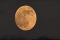 Strawberry moon to appear in sky today. How rare is this phenomenon