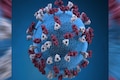 Coronavirus update: India reports 343 new COVID-19 cases in last 24 hours