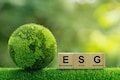 View | The emerging era of credible ESG reporting