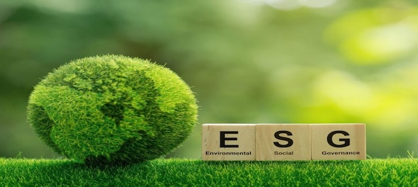 Zoomed Out | Why ESG is critically important