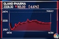 Gland Pharma falls 10% as supply disruptions and rising prices eat into the profit