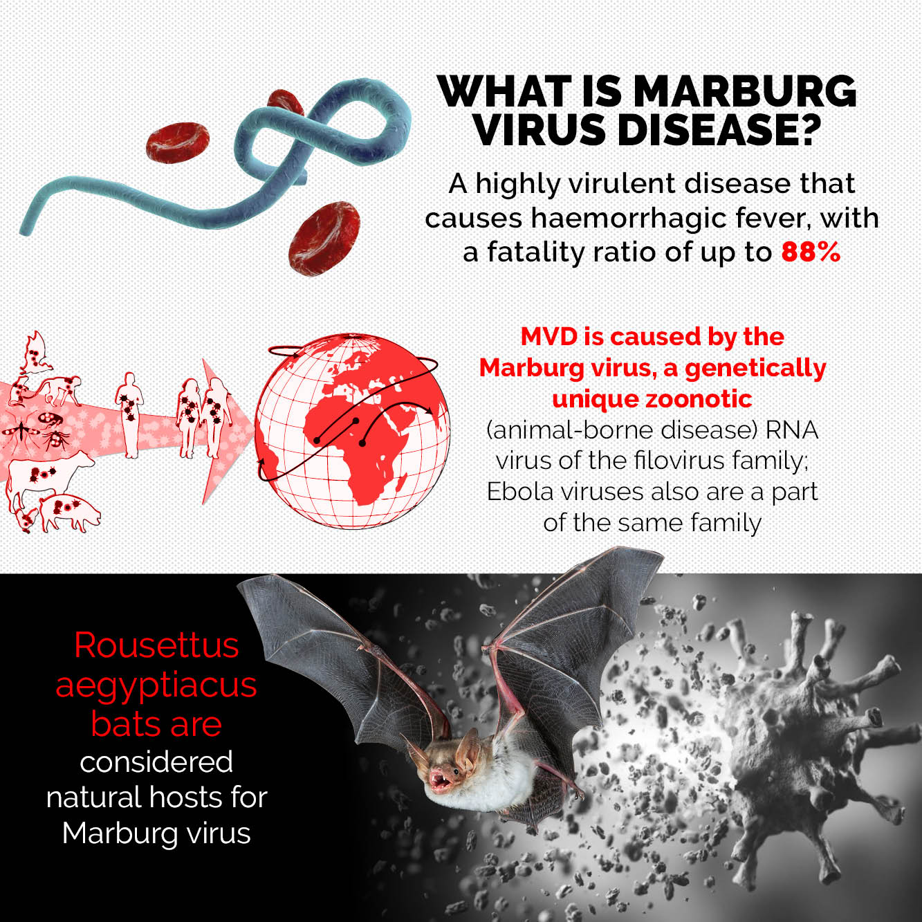 Ghana reports Marburg virus outbreak — What causes the disease ...