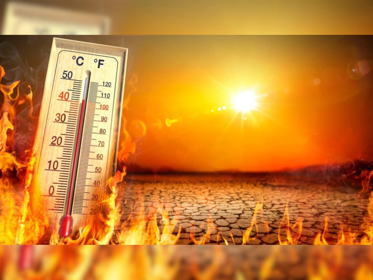 Heat Waves: A Growing Threat to Society and the Environment - Eos