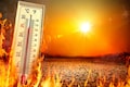 Extreme heatwaves, fires scorch the world — a look at hottest zones now 
