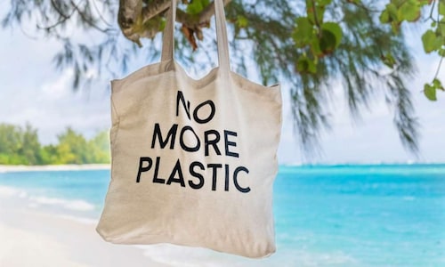 International Plastic Bag Free Day: 10 tips to reduce the usage of plastic bag