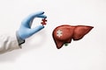 World Liver Day 2023: Tips for keeping your liver healthy