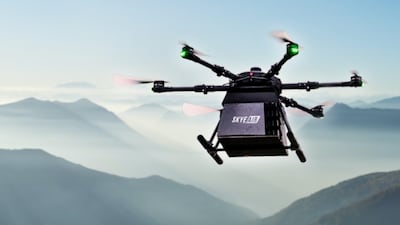 Skye fashion drone company