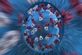Novel plastic film can kill SARS-CoV-2 virus using just room light
