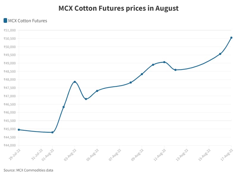 Cotton Price Forecast 2024