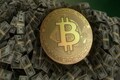 Bitcoin sinks on ebbing Fed rate cut bets and cooling ETF demand