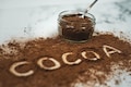 Study finds cocoa helps reduce blood pressure, arterial stiffness — A look at its other benefits