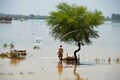 Pakistan flood situation to worsen as Indus and Swat to swell further, rain fury claims nearly 1,000 lives