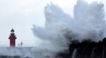 Typhoon Hinnamnor: China and Japan ground flights, Toyota suspends production