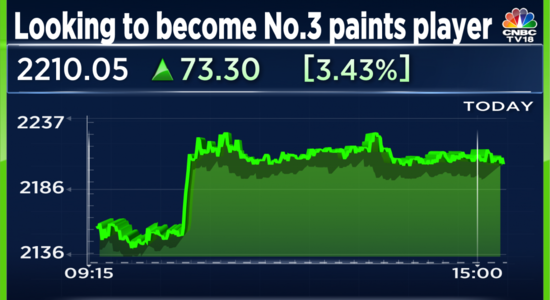 Manufacturer of Dulux Paints expects another two quarters of margin pressure