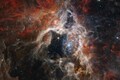 NASA's James Webb Space Telescope captures cosmic tarantula