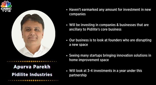 Pidilite hasn't made fresh investments but is on the lookout for founders disrupting a new space