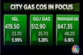 IGL, MGL and Gujarat Gas gains as govt-appointed panel for gas pricing, seeks more time for submission of report