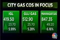 IGL, MGL and Gujarat Gas gains as govt-appointed panel for gas pricing, seeks more time for submission of report