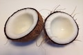 World Coconut Day: History, significance and uses of the versatile fruit