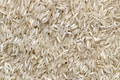 India Gate basmati rice maker KRBL looks to hike prices by March