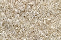 India Gate basmati rice maker KRBL looks to hike prices by March