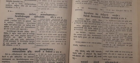 World Sanskrit Day 2023: History, significance and English words derived from it