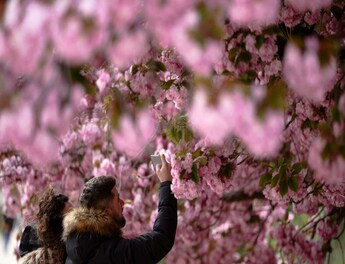 10 of the World's Best Cherry Blossom Viewing Spots