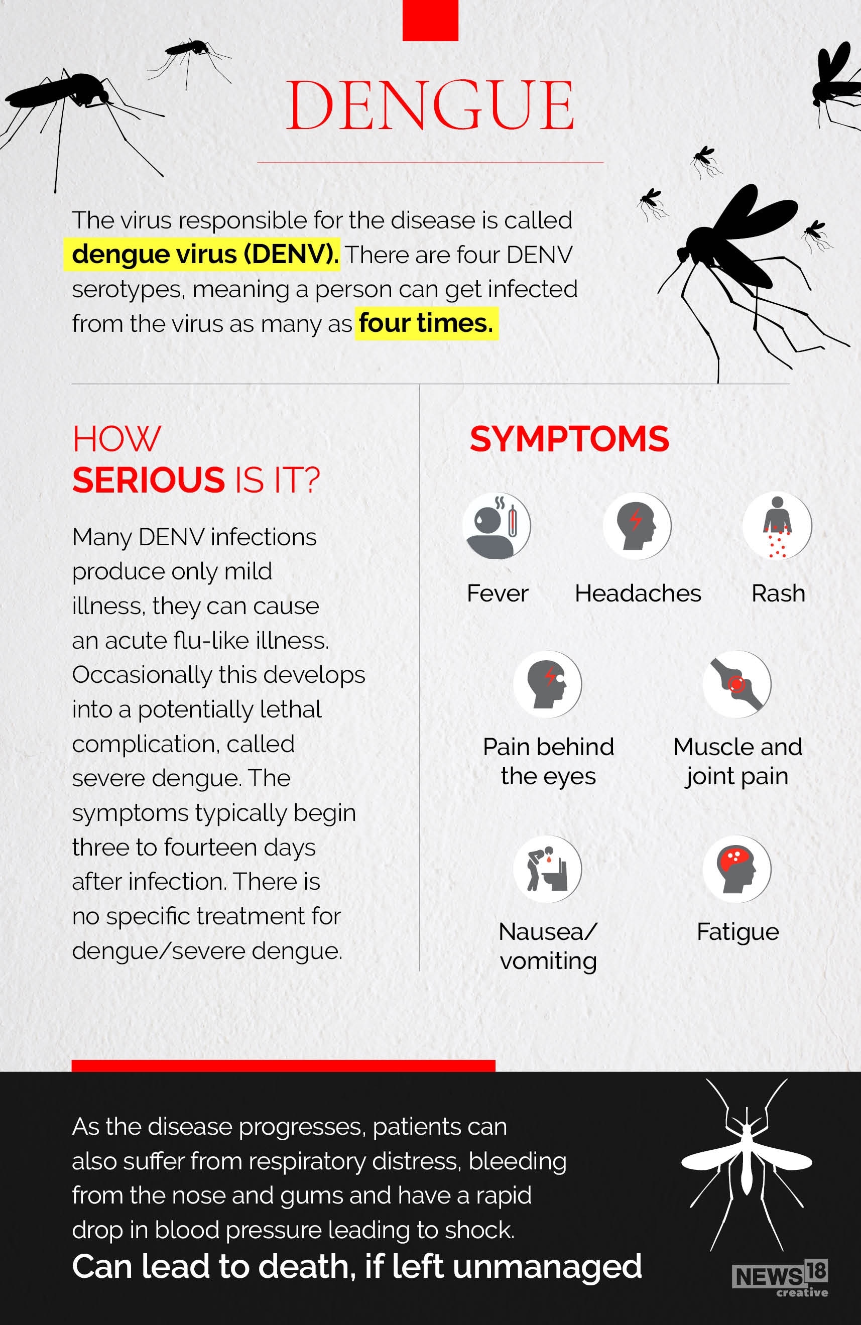 Dengue Cases Surge In India — A Look At Symptoms, Treatment, Prevention ...