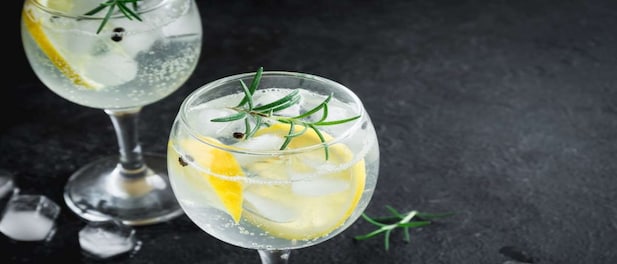 Indian Gin: The spirit that inspired the world's first mixed drink