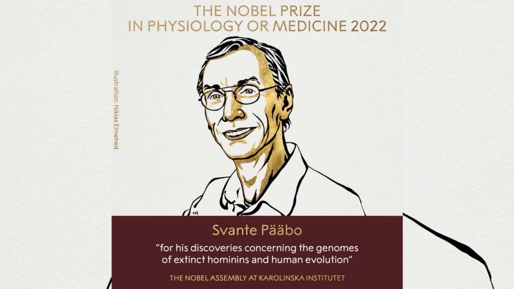 Who Is Svante PÄäBo, Winner Of Nobel Prize In Physiology Or Medicine?