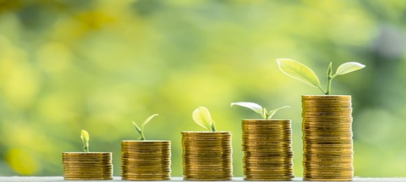 India to issue Rs 20,000-crore Sovereign Green Bonds in second half of FY24 — how you can invest