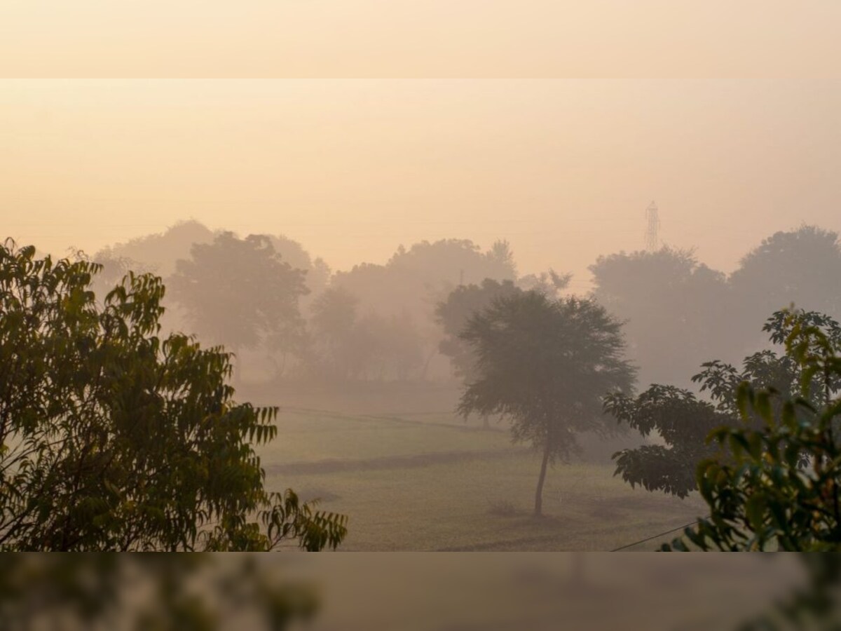 Punjab, Haryana Report 'Poor' To 'Very Poor' Air Quality Punjab, Haryana Report 'Poor' To 'Very Poor' Air Quality
