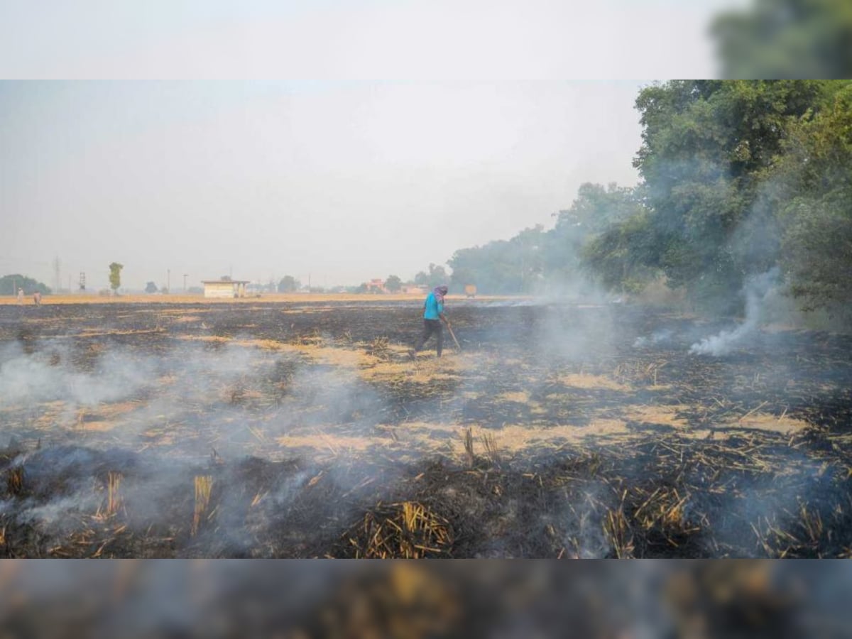 haryana challans stubble burning