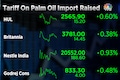 India increases palm oil import tariffs by 6-11%