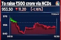 CreditAccess Grameen board approves raising Rs 500 crore via NCDs