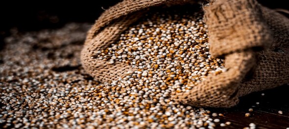 From music to munchies — Modi phenomenon brings millets to the US