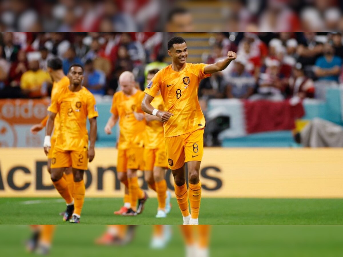 Netherlands 2-0 Qatar: Cody Gakpo and Frenkie de Jong score as