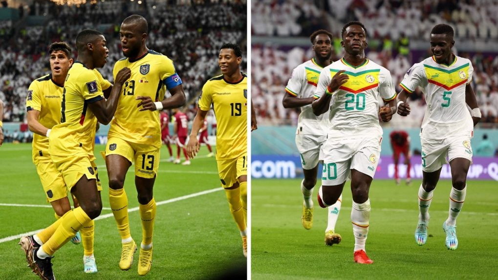 Ecuador vs Senegal FIFA World Cup 2022 Preview Head-to-head, prediction, live stream, betting odds and more