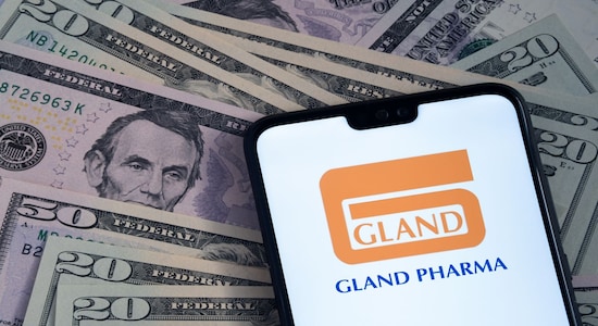 gland pharma, gland pharma stock, gland pharma shares, key stocks, stocks that moved, stock market india,