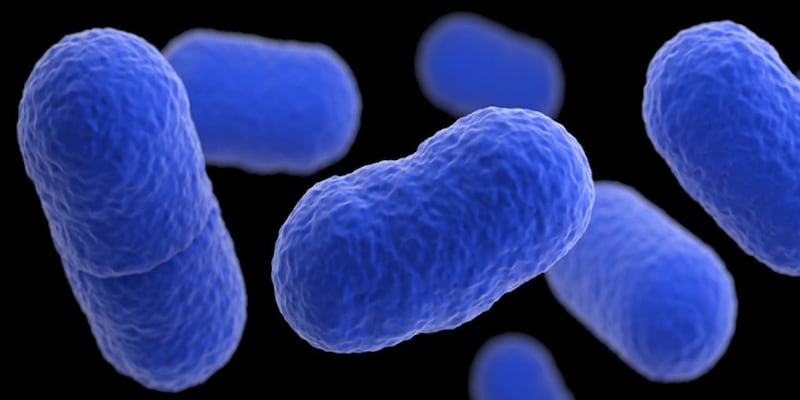 What is listeria, the foodborne illness on the rise in the US?