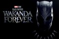 “A Love Letter to Chadwick”: Reviews pour in for the new Black Panther film