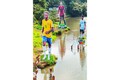 FIFA World Cup 2022: Messi, Ronaldo and Neymar's giant cutouts in Kerala river gain municipal body's approval