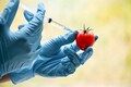 Food safety authority proposes regulations for genetically modified produce