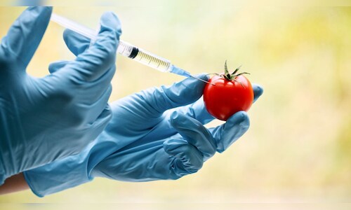 Food safety authority proposes regulations for genetically modified ...