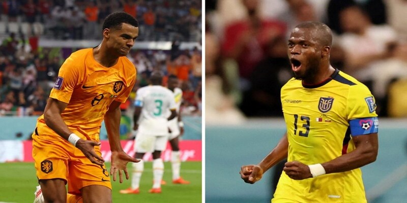 FIFA World Cup 2022, Netherlands vs Ecuador Preview: Head to head, betting odds, live streaming