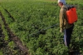 India approves sale of pesticides through e-commerce platforms