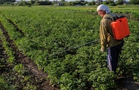 India approves sale of pesticides through e-commerce platforms India approves sale of pesticides through e-commerce platforms
