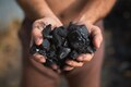 A quarter of Coal India's revised dispatch target for the power sector may happen in Q1