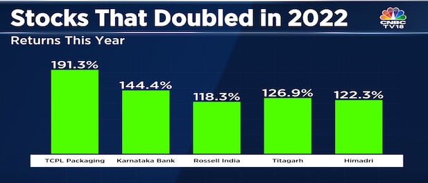 These five stocks doubled in 2022 and boosted these mutual fund houses holding them exclusively